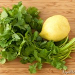 Cilantro and Lemon