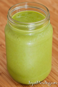 Vitamix Mint Smooothie